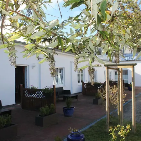 Charming Holiday In Nienhagen With Garden *